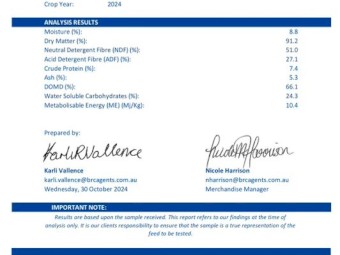 Wheaten Hay 8x4x3 Bales