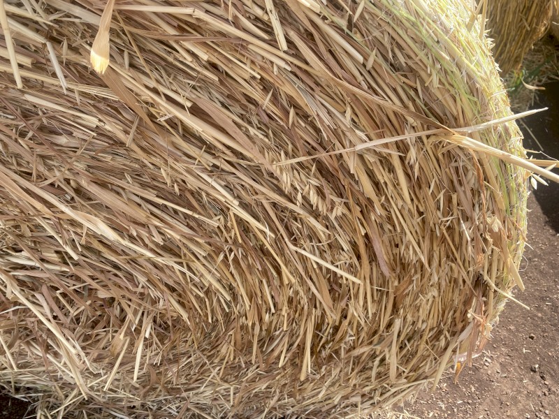 Round Oaten Hay
