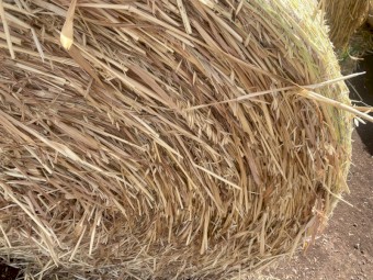 Round Oaten Hay