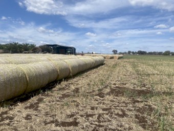 Round Oaten Hay