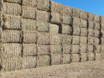 54mt  Barley Hay  650kg 8x4x3 Bales