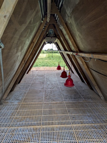 Mobile Poultry Sheds