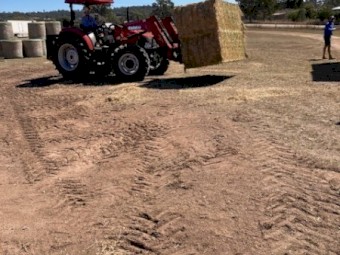 8^4^3  Premium Lucerne Hay