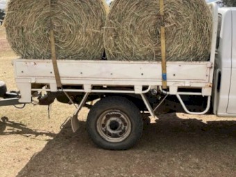 4*4 Pasture Hay- Angleton (Bluegrass) Grass-Legume-Rhodes