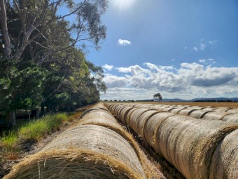 300 x Wheaten Rye Hay 5x4 Rolls