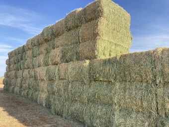 270mt Oaten Hay 8x4x3 Bales