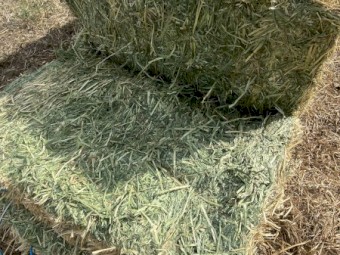 270mt Oaten Hay 8x4x3 Bales