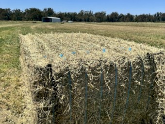 Lucerne Hay 700kg 8x4x3 Bales