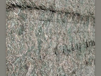 Lucerne Hay 700kg 8x4x3 Bales