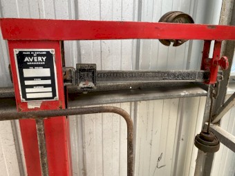 Avery Woolshed Scales