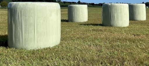 136 x Lucerne Silage Round Bales