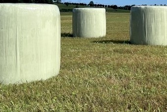 136 x Lucerne Silage Round Bales