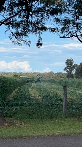  SSS Silage Round Bales