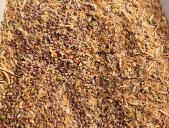 Lentil Seconds/ Barley