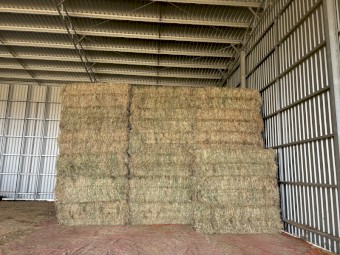 600mt Clover / Ryegrass Hay 600kg 8x4x3 Bales