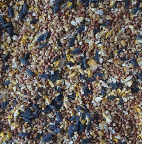 WANTED - Seed / Grain / Downgrade or Gradings / Mixed or Single species