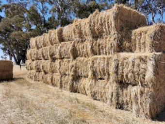 Oaten /  rye hay