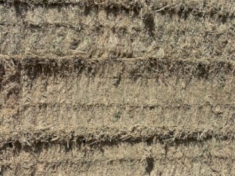  Lucerne Hay 8x4x3 Bales