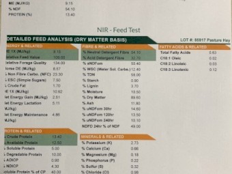 75mt Wheat and Rye Grass Hay 8x4x3 Bales