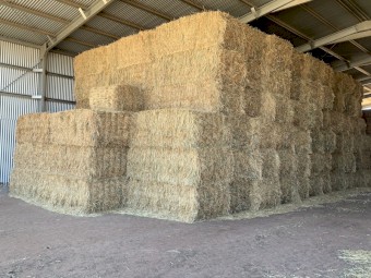 75mt Wheat and Rye Grass Hay 8x4x3 Bales