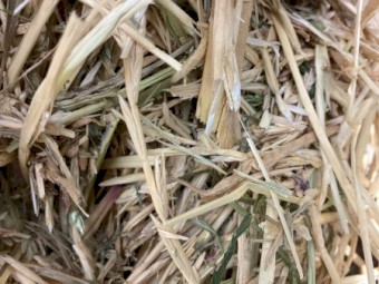 30mt Canola Hay 500kg 8x4x4 Bales