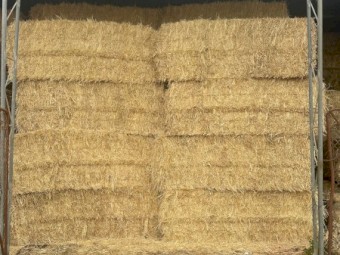 30mt Canola Hay 500kg 8x4x4 Bales