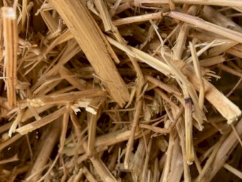 30mt Canola Hay 500kg 8x4x4 Bales