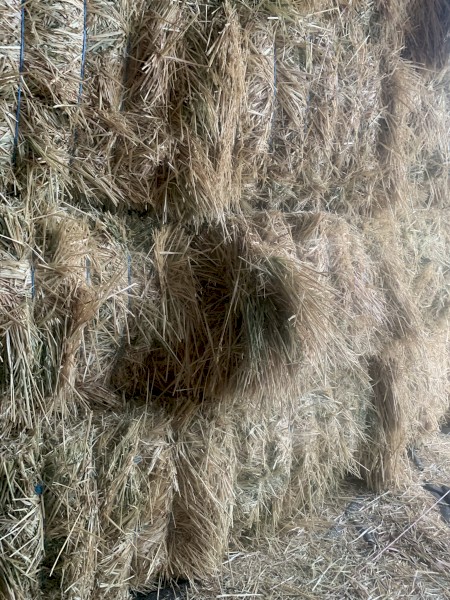 46mt Oaten Hay 700kg 8x4x3 Bales