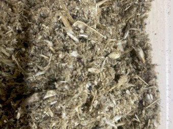 Grain Handling Byproducts - Screenings/Dust/Seed