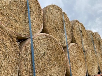 Rye/Wheaten Hay 5x4 Rolls