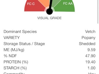 200 x Vetch/Wheat Hay 470kg 8x4x3 Bales