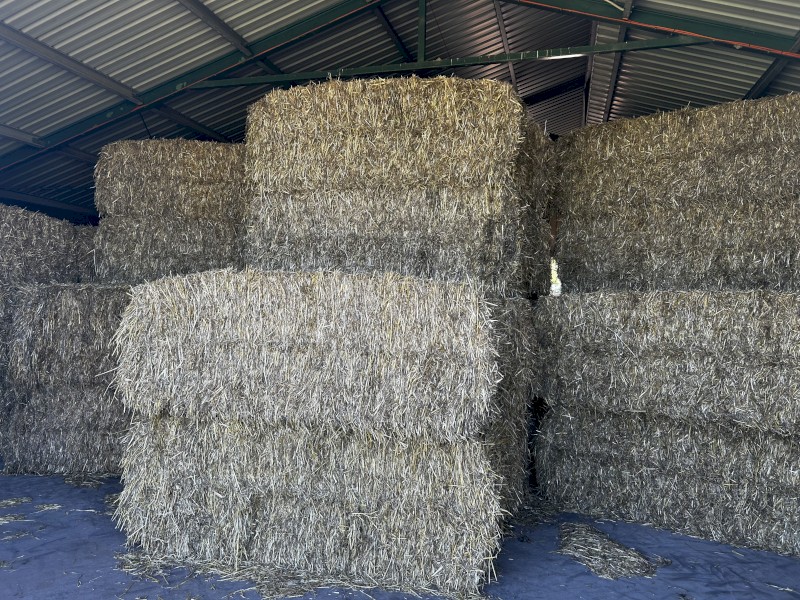 180 x Oaten Hay 8x4x3 Bales