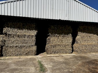 180 x Oaten Hay 8x4x3 Bales