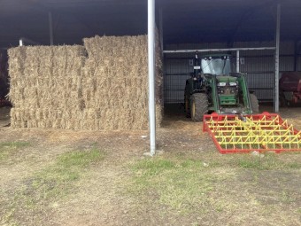 Oaten Hay Small Square