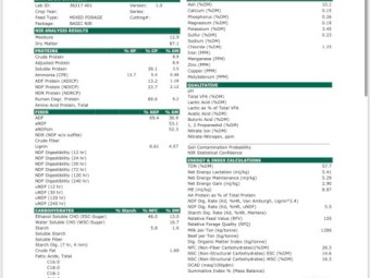 Rye & Sub hay 8x4x3 Bales