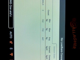 Gallagher TWR-1 Weigh Scale with EID Tag Reader PLUS 600 x 400 Antenna W/- 6 metre Lead