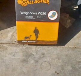 Gallagher Load bars and weigh reader