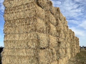 WANTED Barley/Wheat/Oaten Straw