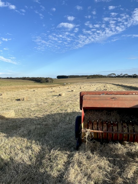 500 x Pasture Hay Small Square Bales