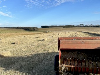 500 x Pasture Hay Small Square Bales
