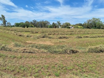 100 x Lucerne Bales 330kg 8x3x3 Bales