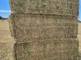 Mixed Clover Hay 629kg 8x4x3 Bales (New Season 24/25)