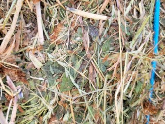 Mixed Clover Hay 629kg 8x4x3 Bales (New Season 24/25)