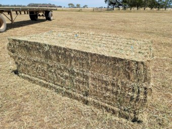 Mixed Clover Hay 629kg 8x4x3 Bales (New Season 24/25)