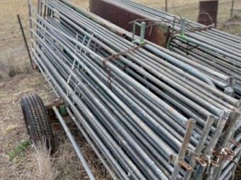 Cyclone Portable Sheep yards