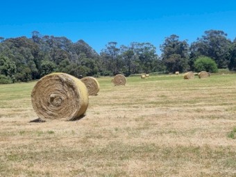 46 x Pasture Hay 6x4 Round Bales
