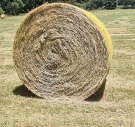 46 x Pasture Hay 6x4 Round Bales