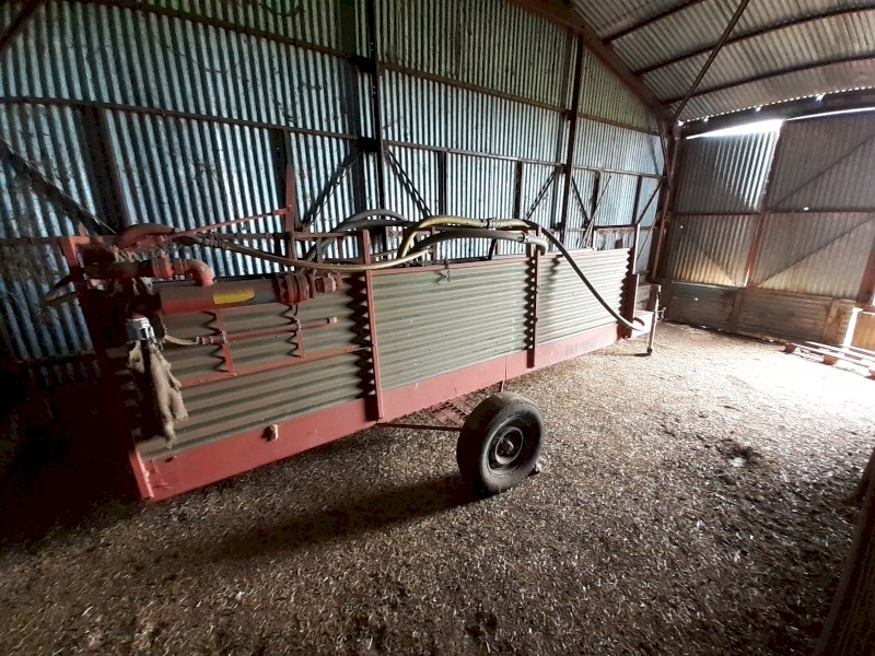 Fly Away Jetting Sheep Jetting Race