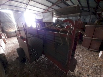 Fly Away Jetting Sheep Jetting Race