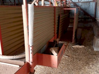 Fly Away Jetting Sheep Jetting Race